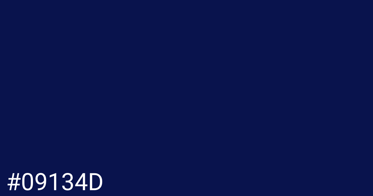 Hex color #09134d graphic