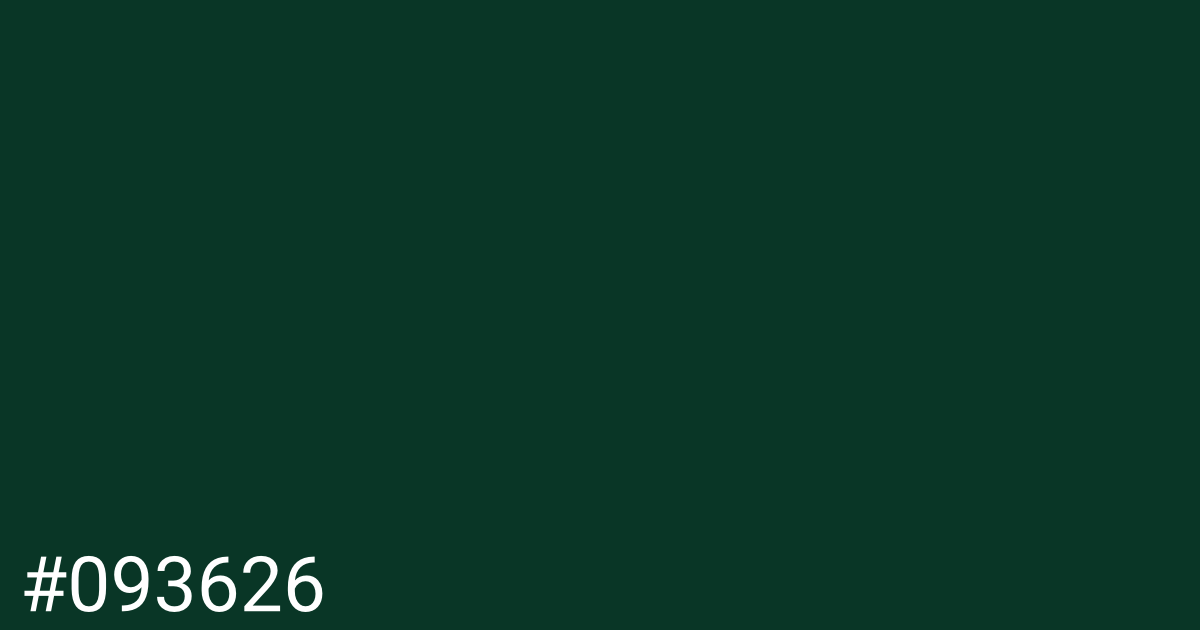 Hex color #093626 graphic