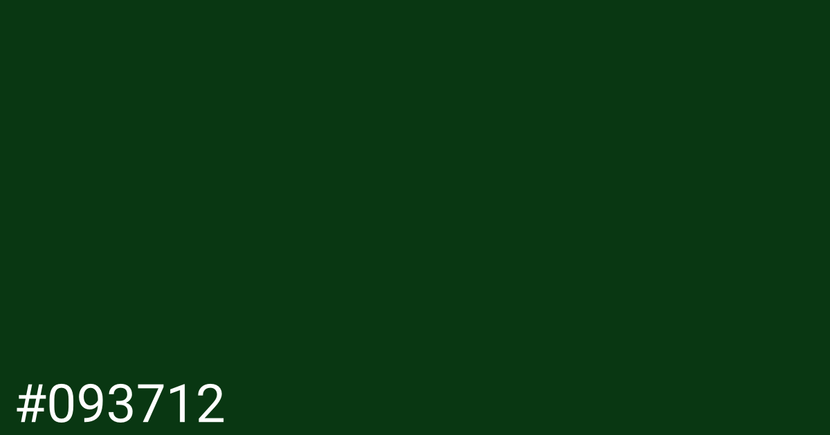 Hex color #093712 graphic