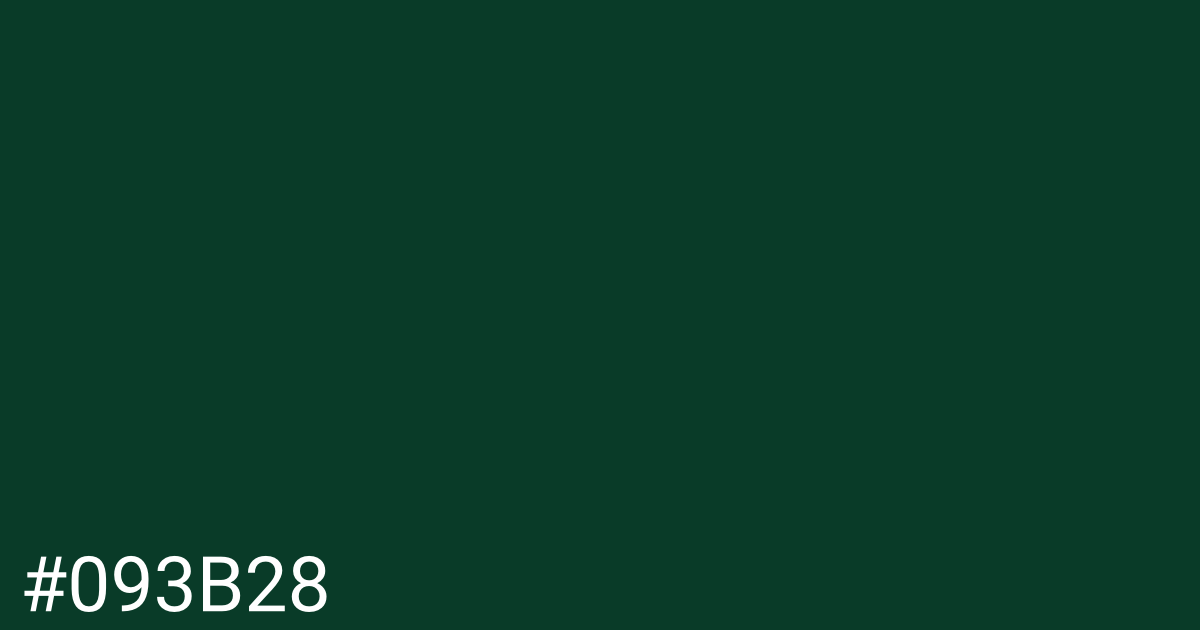 Hex color #093b28 graphic