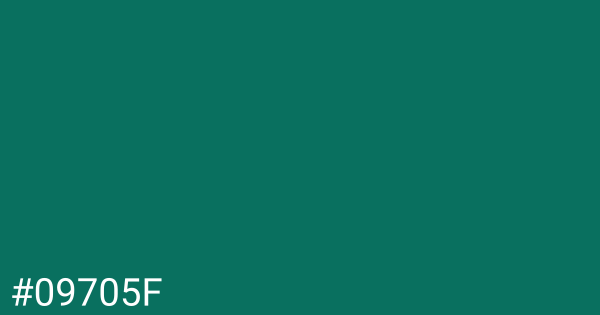 Hex color #09705f graphic