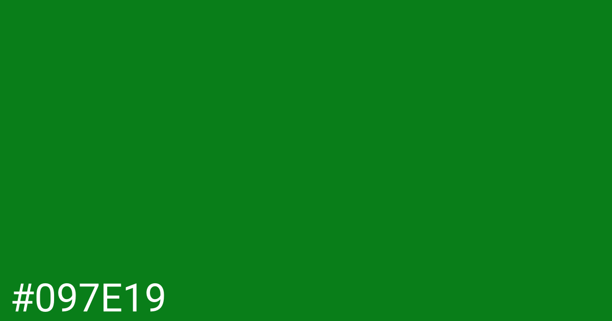Hex color #097e19 graphic