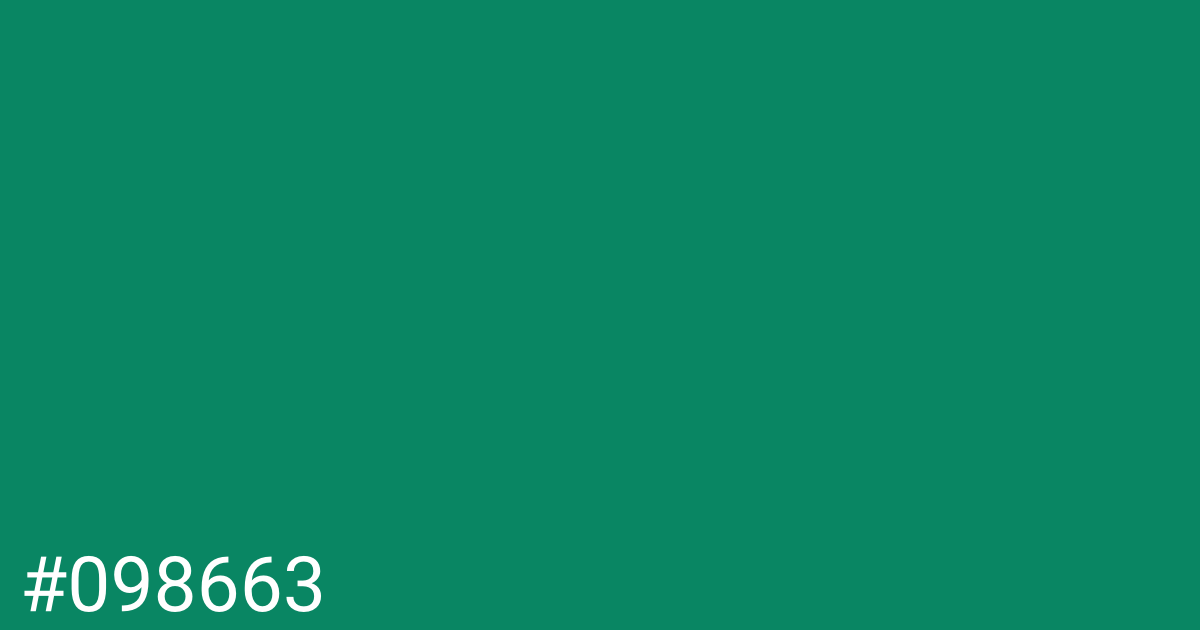 Hex color #098663 graphic