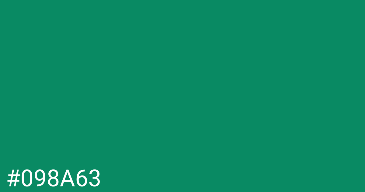 Hex color #098a63 graphic