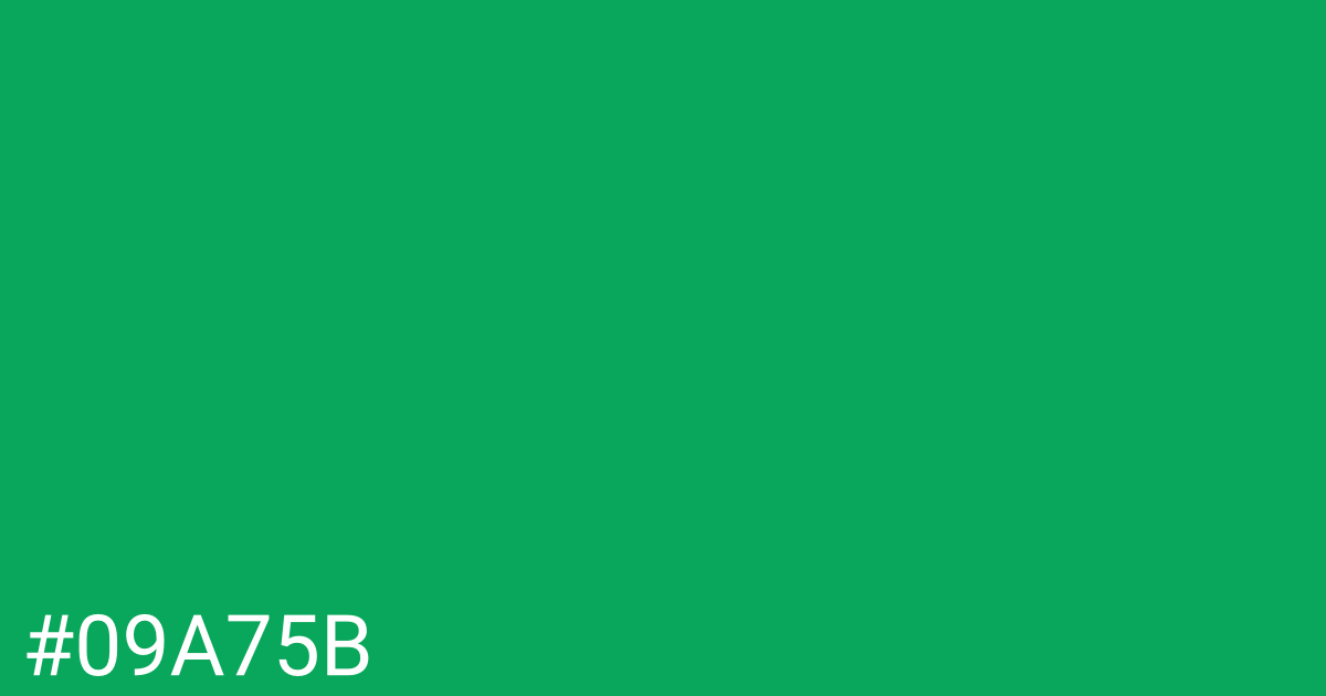 Hex color #09a75b graphic