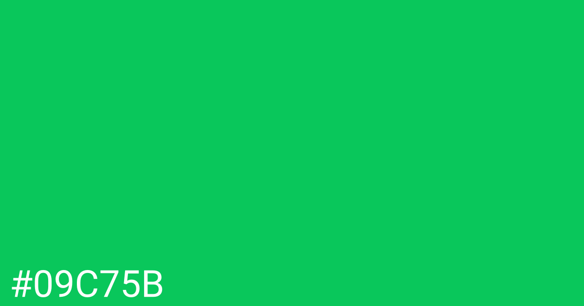 Hex color #09c75b graphic