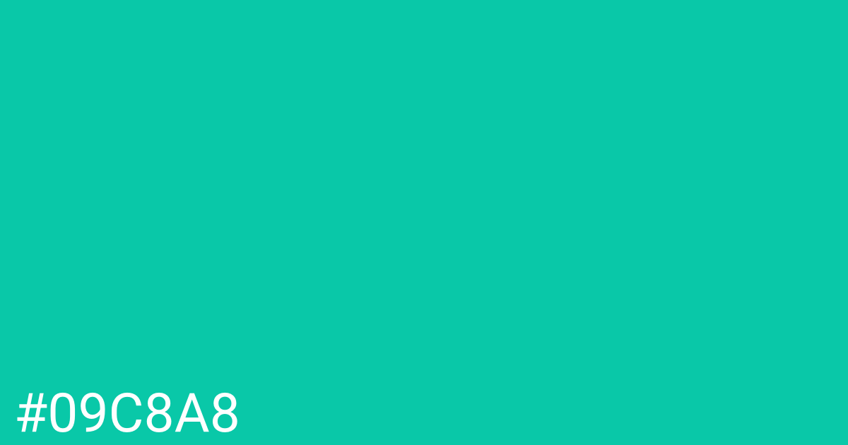 Hex color #09c8a8 graphic