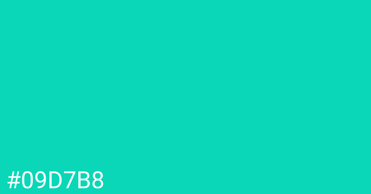 Hex color #09d7b8 graphic