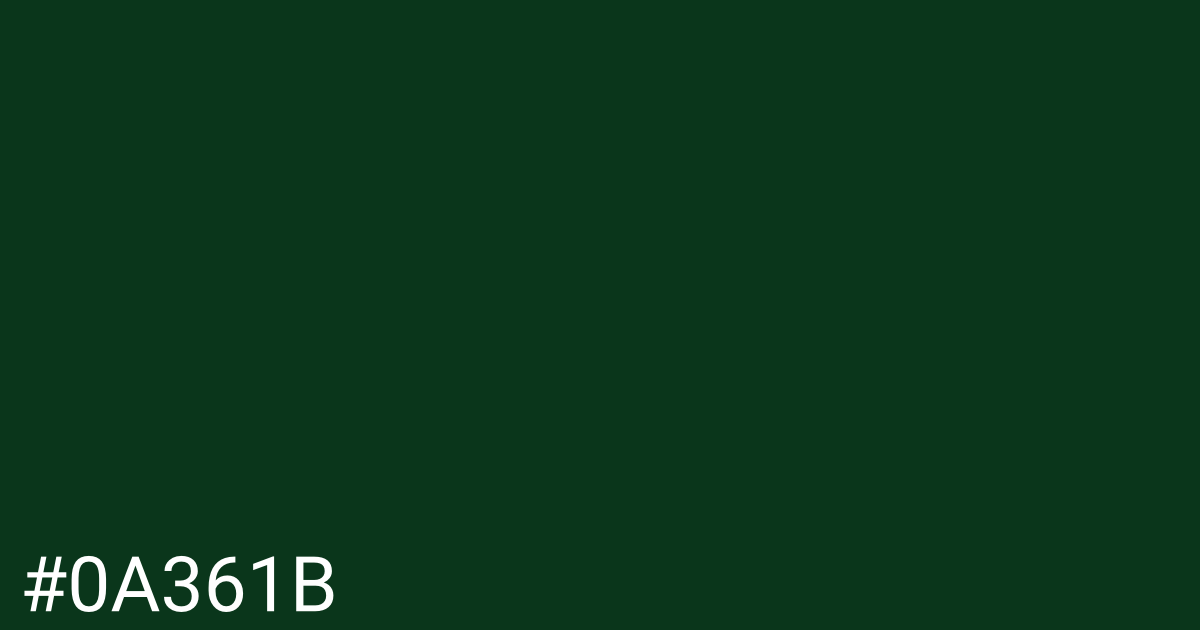 Hex color #0a361b graphic