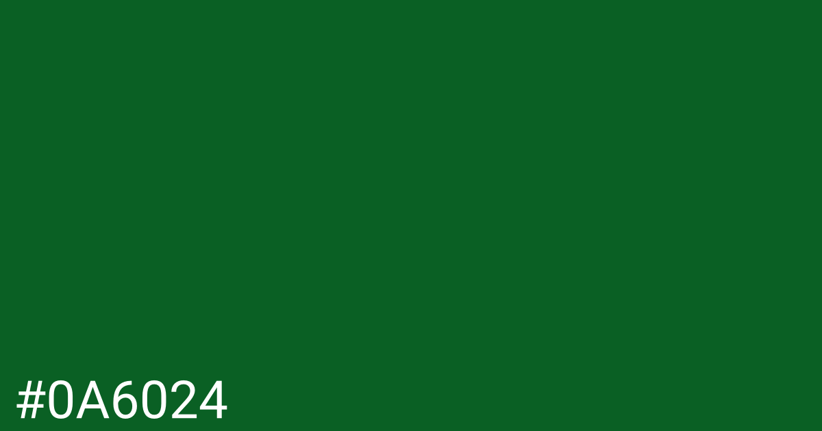 Hex color #0a6024 graphic