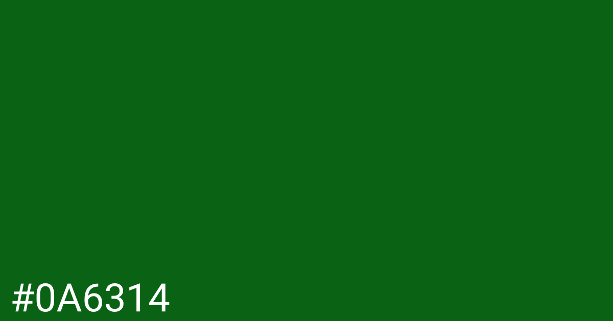 Hex color #0a6314 graphic