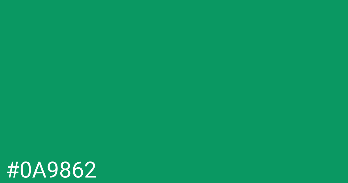 Hex color #0a9862 graphic