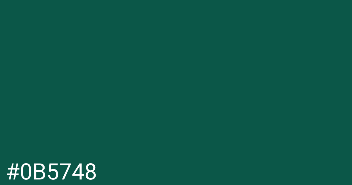 Hex color #0b5748 graphic