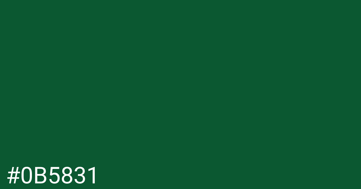 Hex color #0b5831 graphic