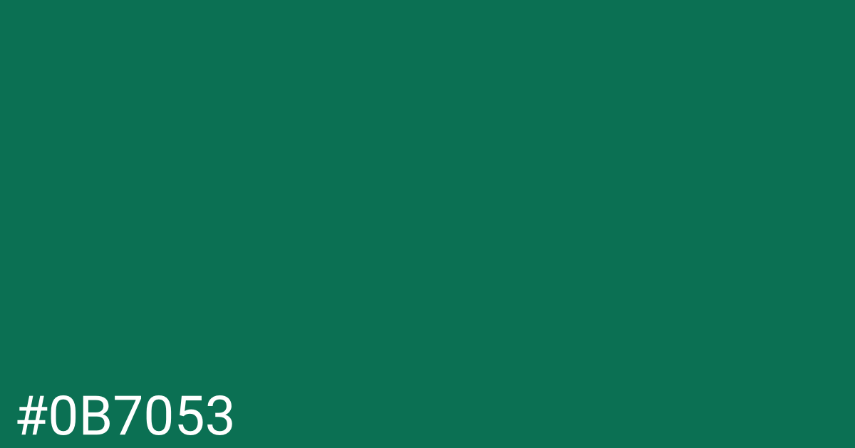 Hex color #0b7053 graphic