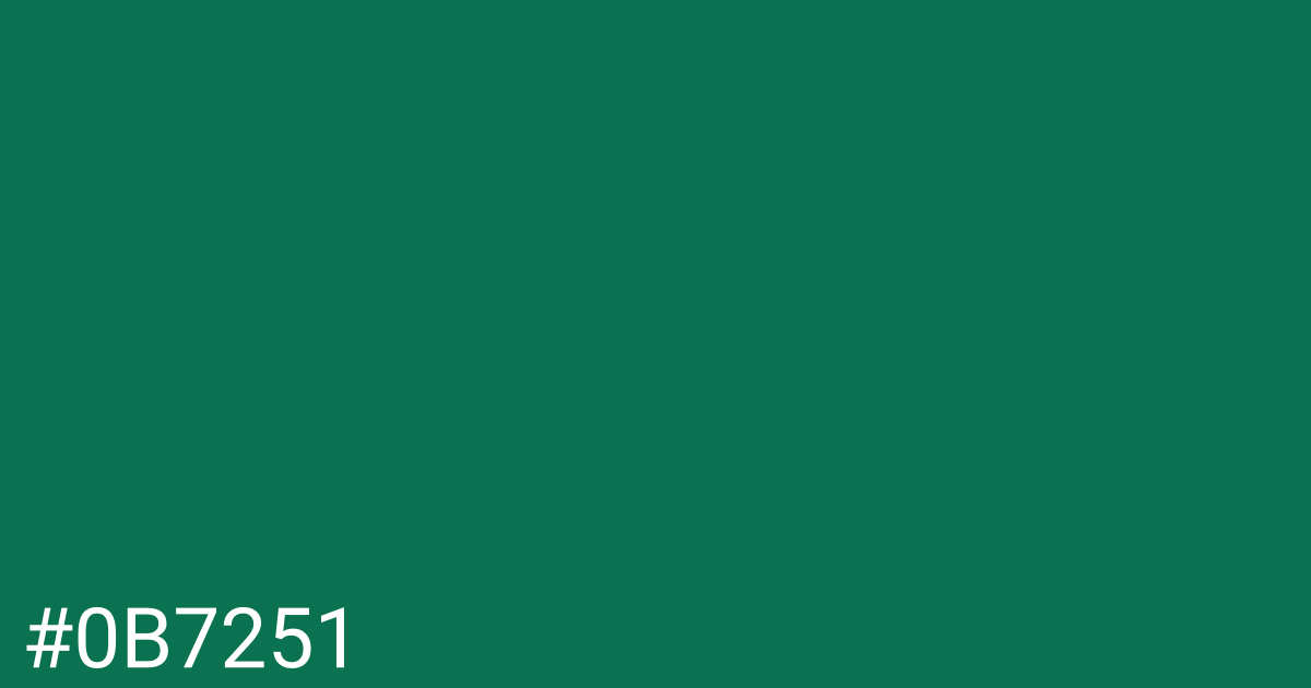 Hex color #0b7251 graphic