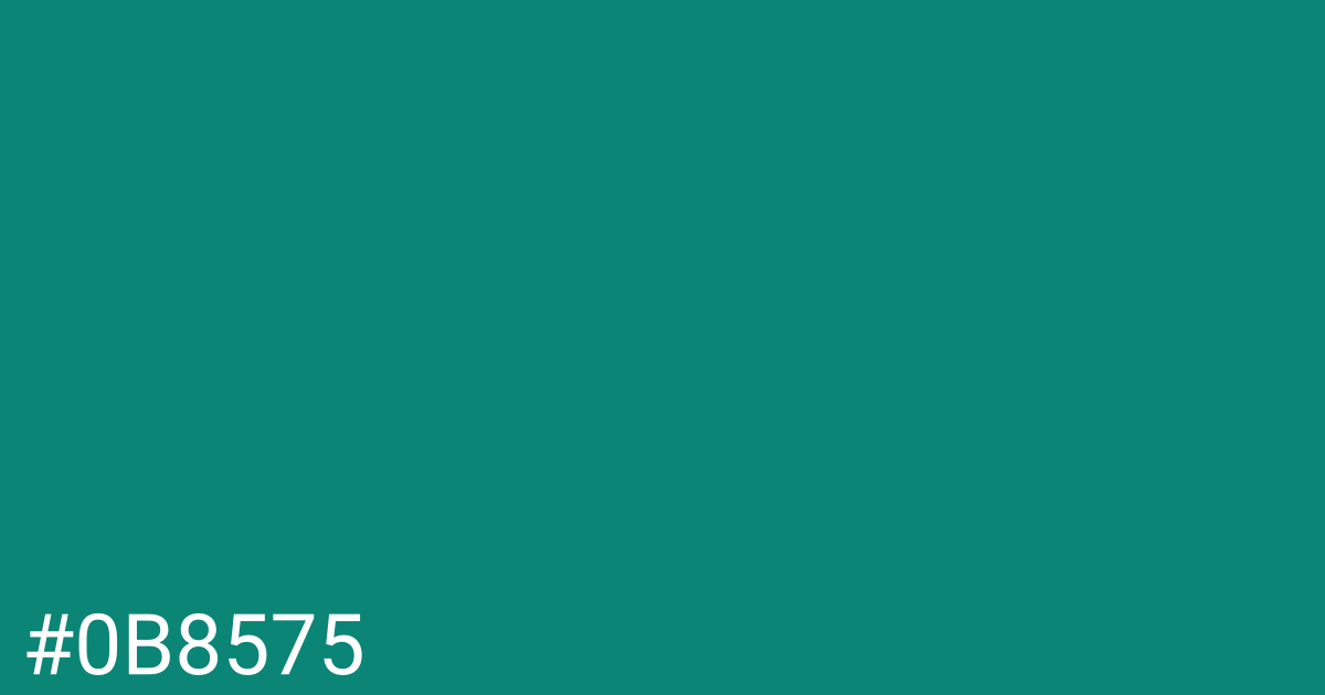 Hex color #0b8575 graphic