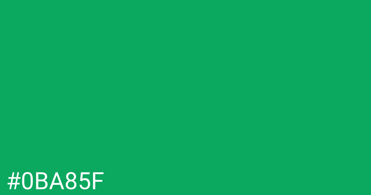 Hex color #0ba85f graphic
