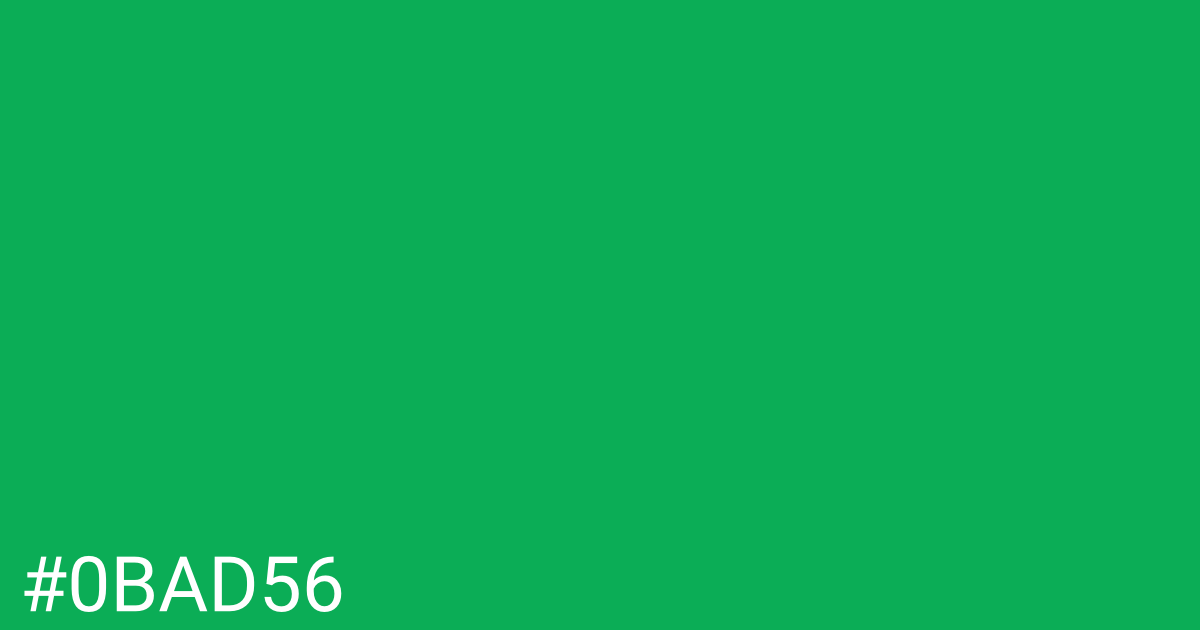 Hex color #0bad56 graphic
