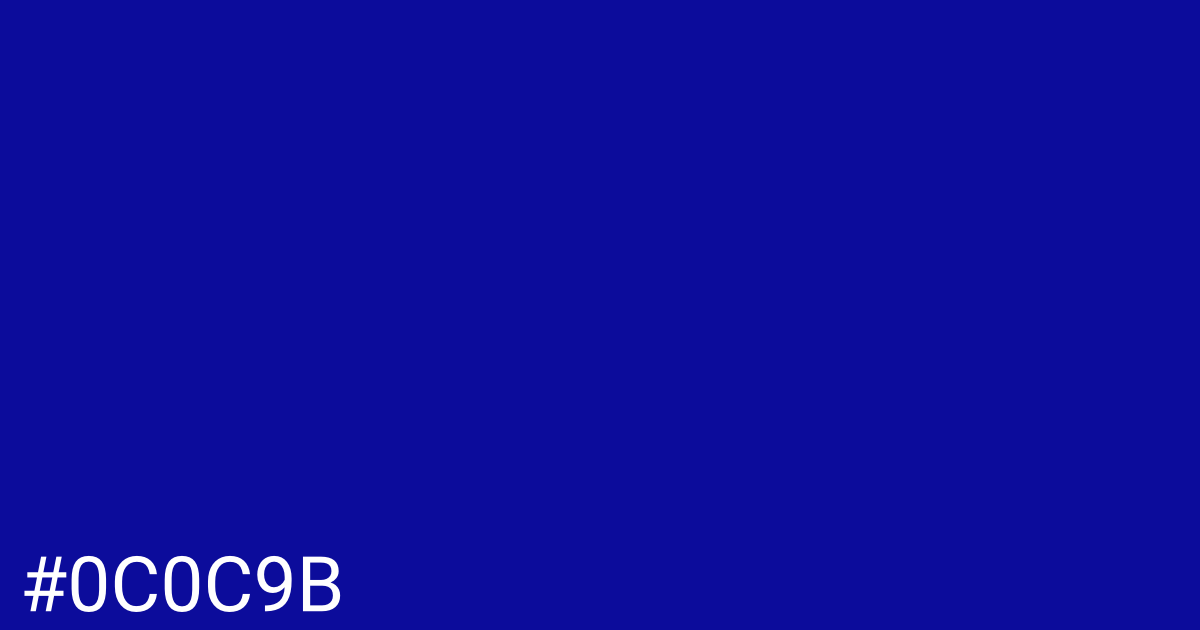 Hex color #0c0c9b graphic