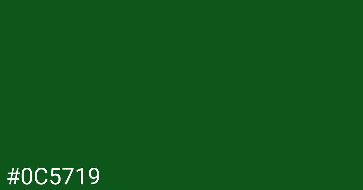 Hex color #0c5719 graphic