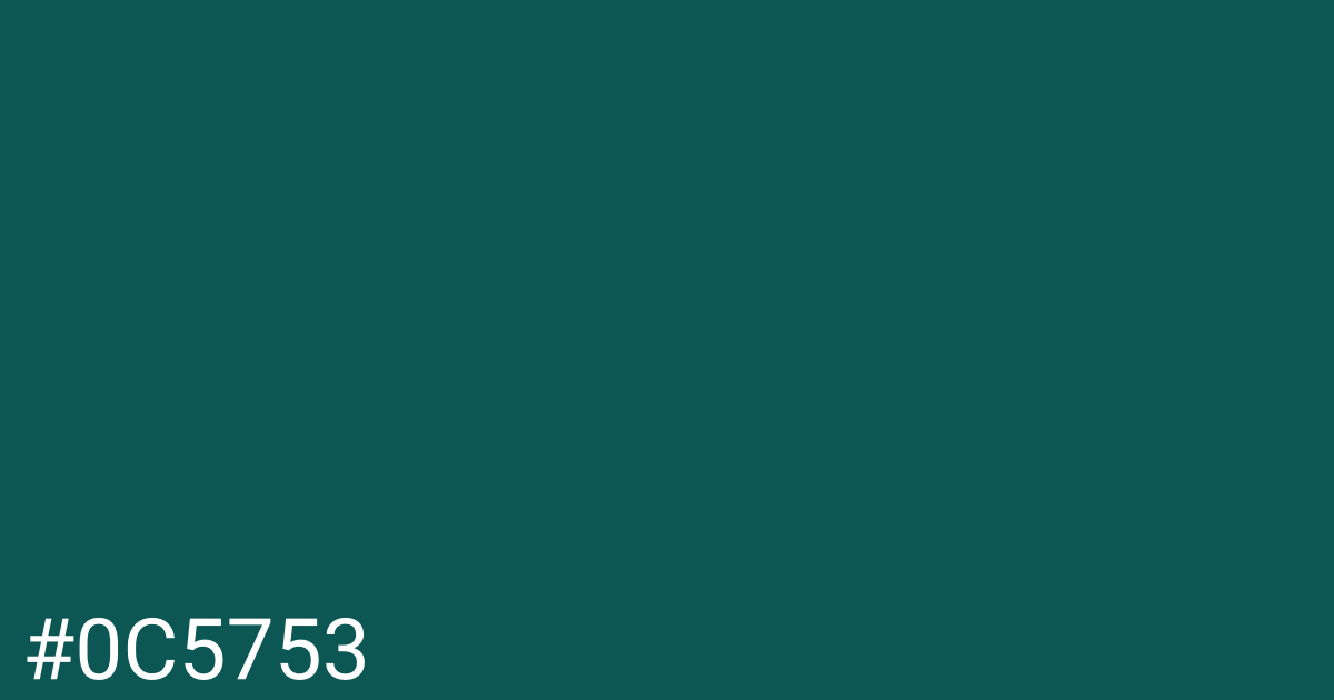 Hex color #0c5753 graphic