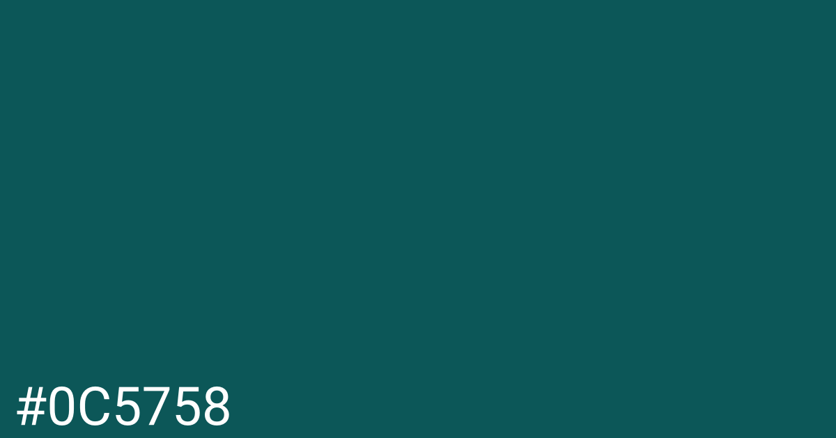 Hex color #0c5758 graphic