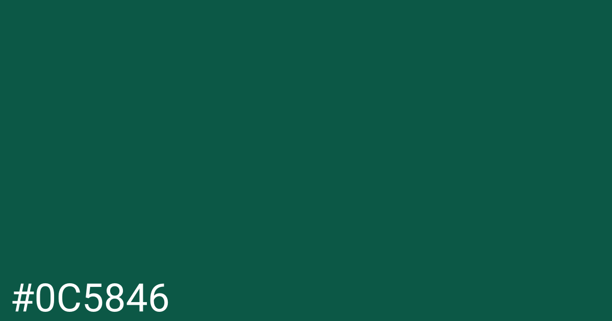 Hex color #0c5846 graphic