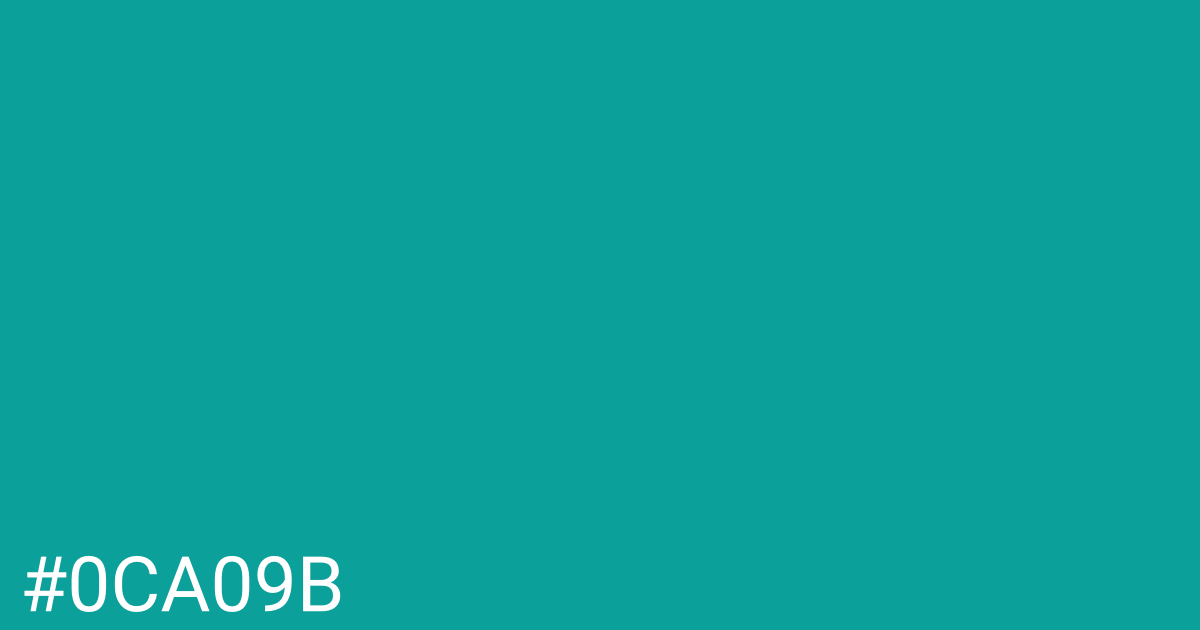 Hex color #0ca09b graphic
