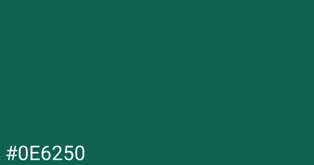 Hex color #0e6250 graphic