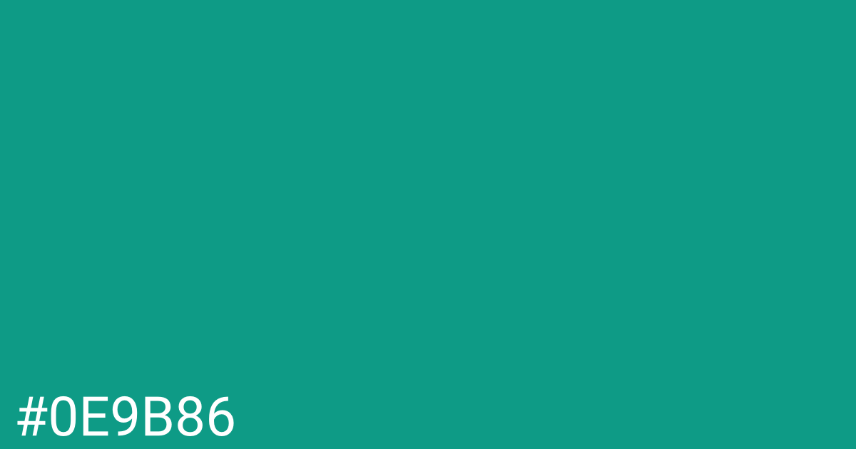 Hex color #0e9b86 graphic