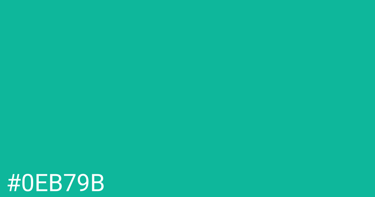 Hex color #0eb79b graphic