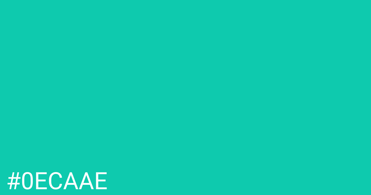 Hex color #0ecaae graphic