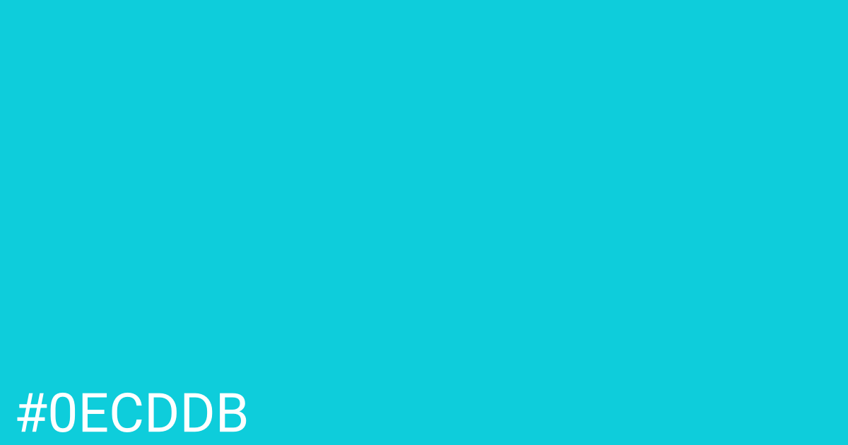Hex color #0ecddb graphic