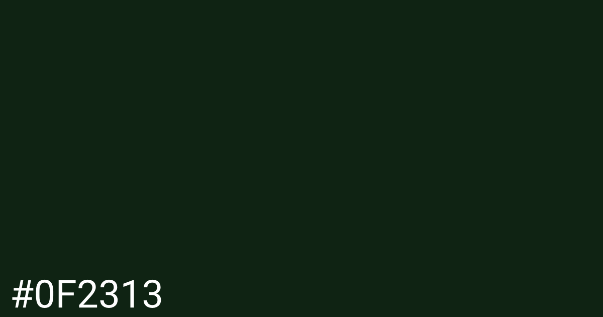 Hex color #0f2313 graphic