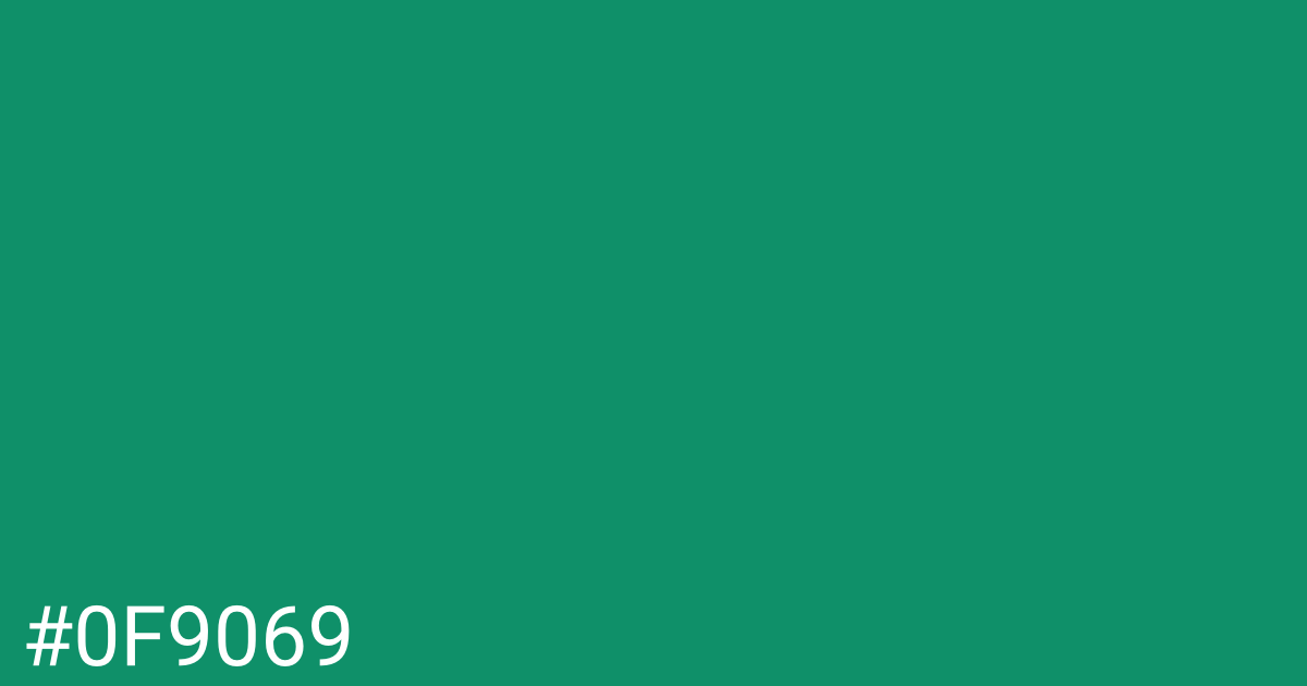 Hex color #0f9069 graphic