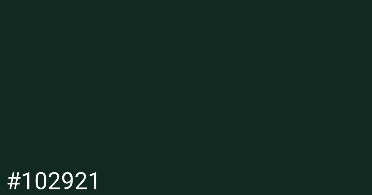 Hex color #102921 graphic