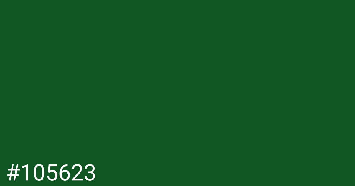 Hex color #105623 graphic