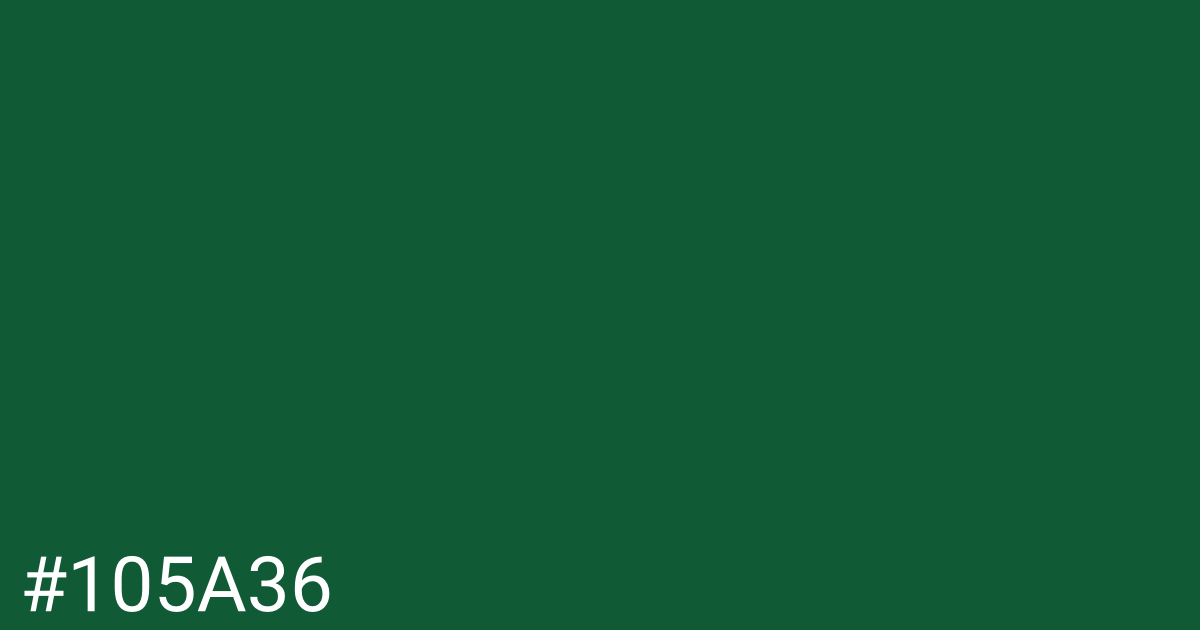 Hex color #105a36 graphic