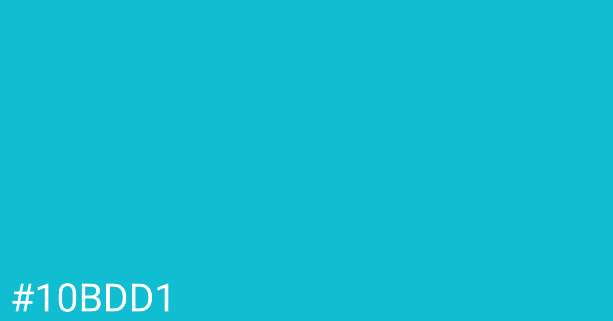 Hex color #10bdd1 graphic