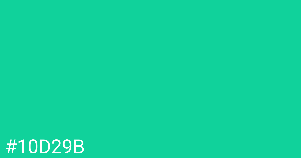 Hex color #10d29b graphic