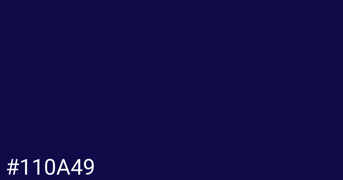 Hex color #110a49 graphic