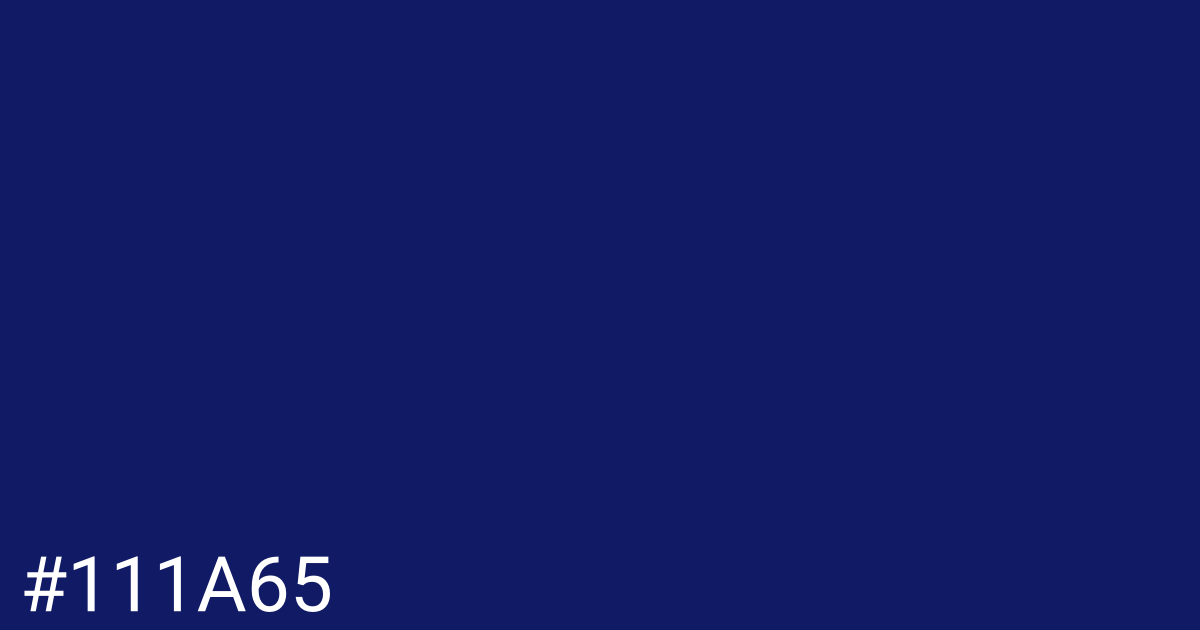 Hex color #111a65 graphic