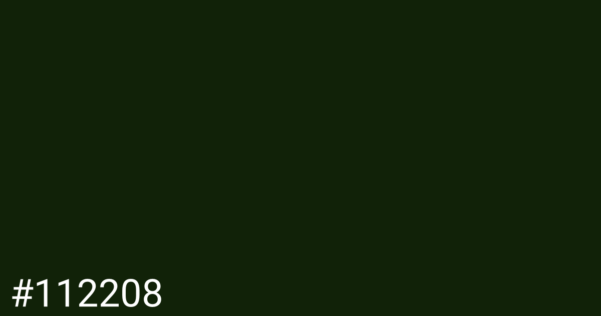 Hex color #112208 graphic