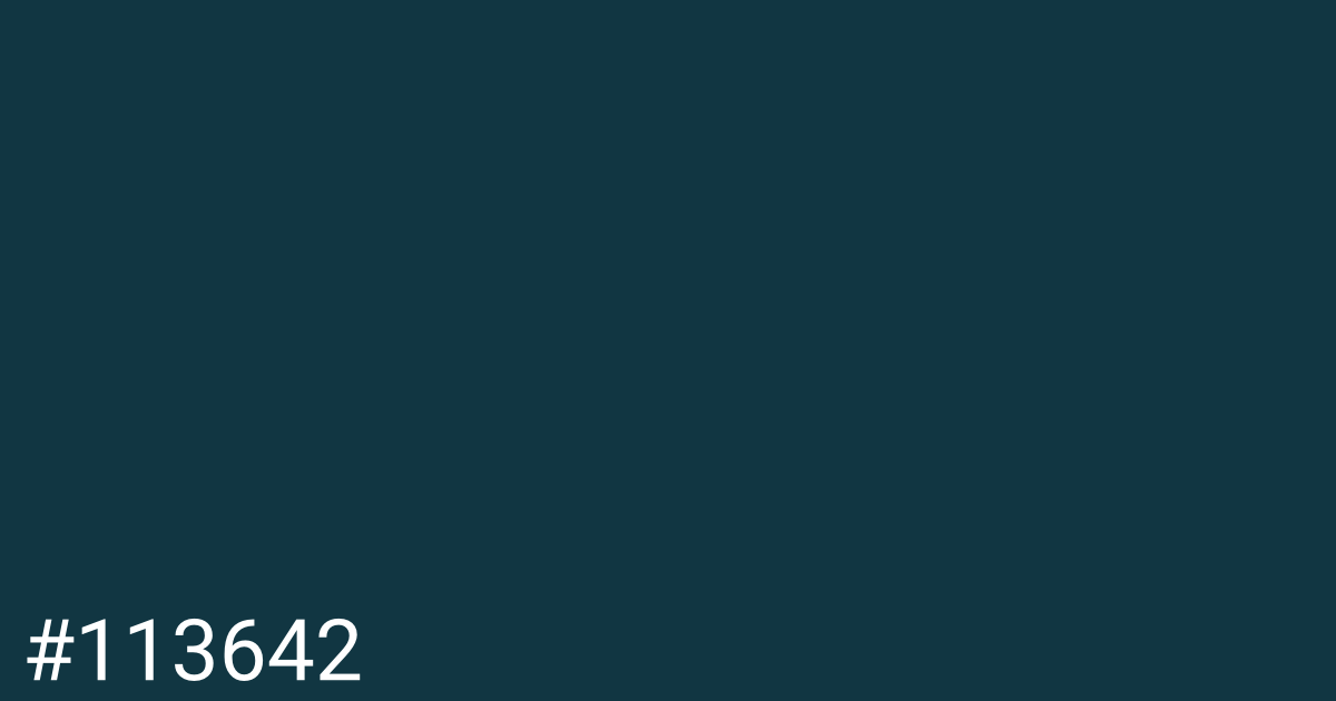 Hex color #113642 graphic