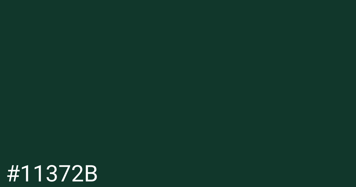 Hex color #11372b graphic