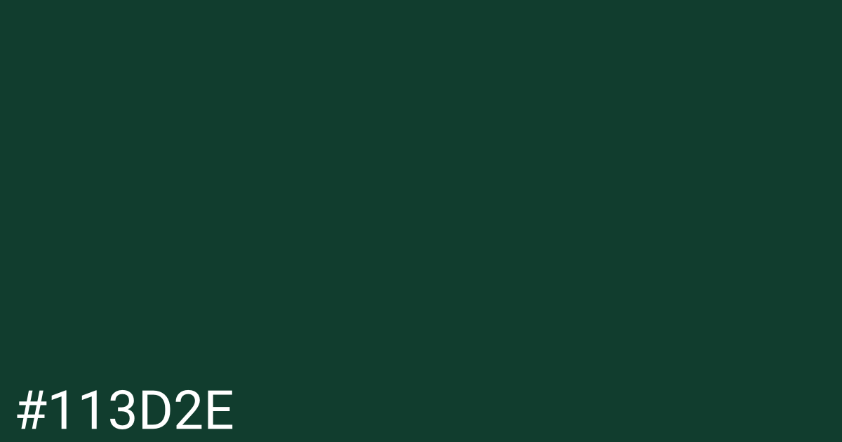 Hex color #113d2e graphic