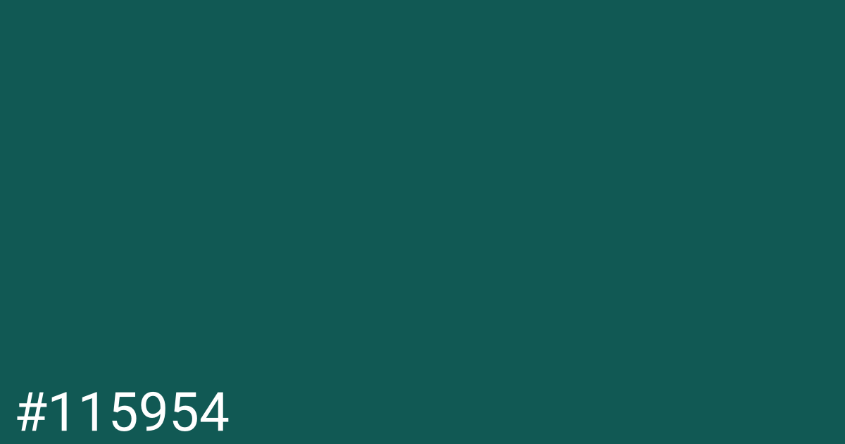 Hex color #115954 graphic