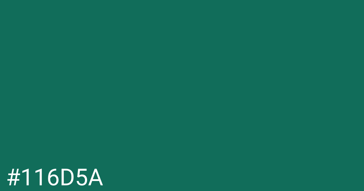 Hex color #116d5a graphic