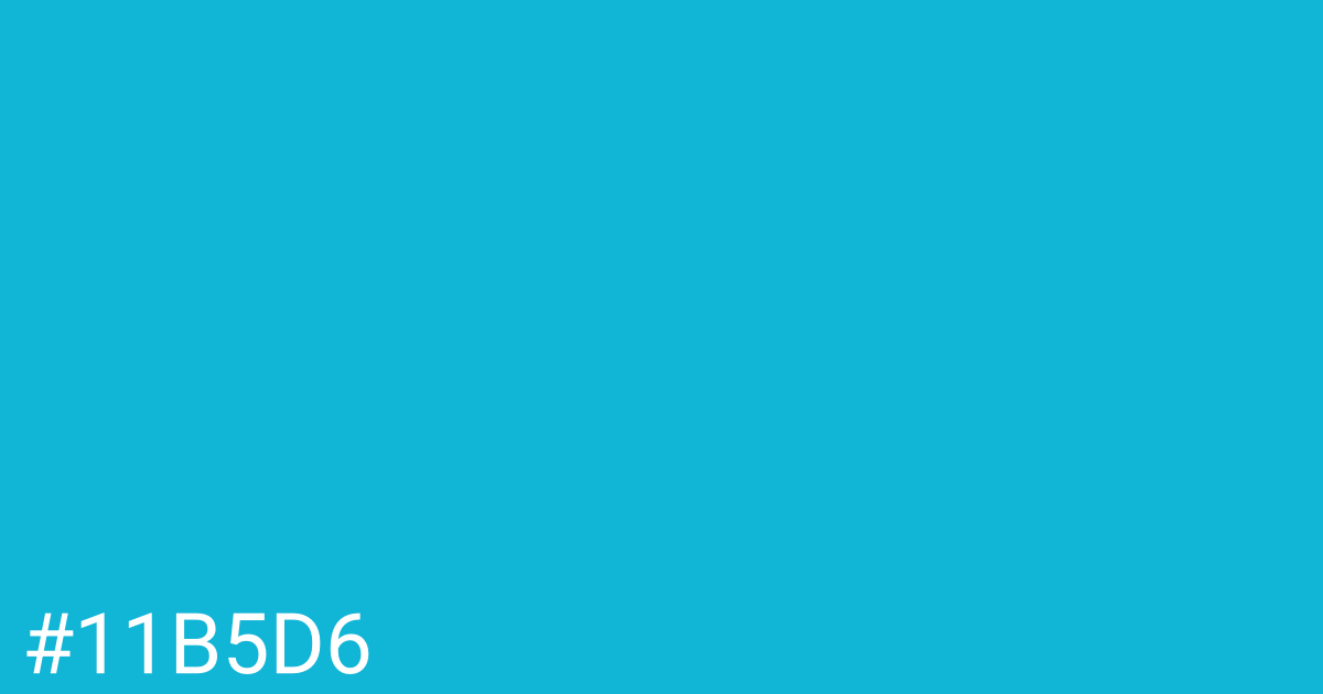 Hex color #11b5d6 graphic